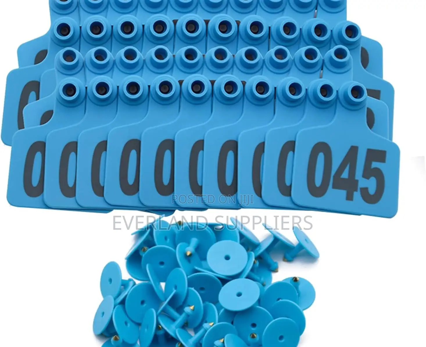 Ear Tags - Custom Numbered