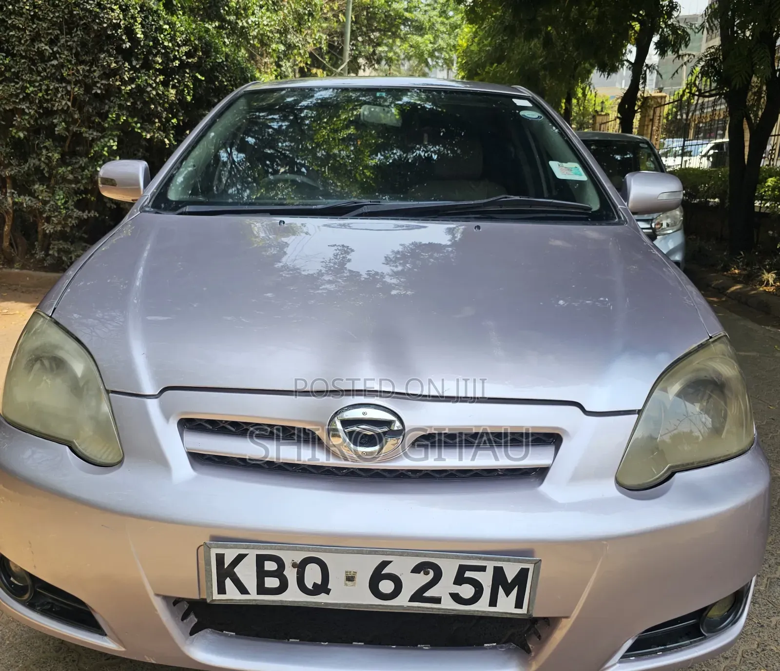 Toyota Corolla RunX 1.5 X AWD 2006 Silver