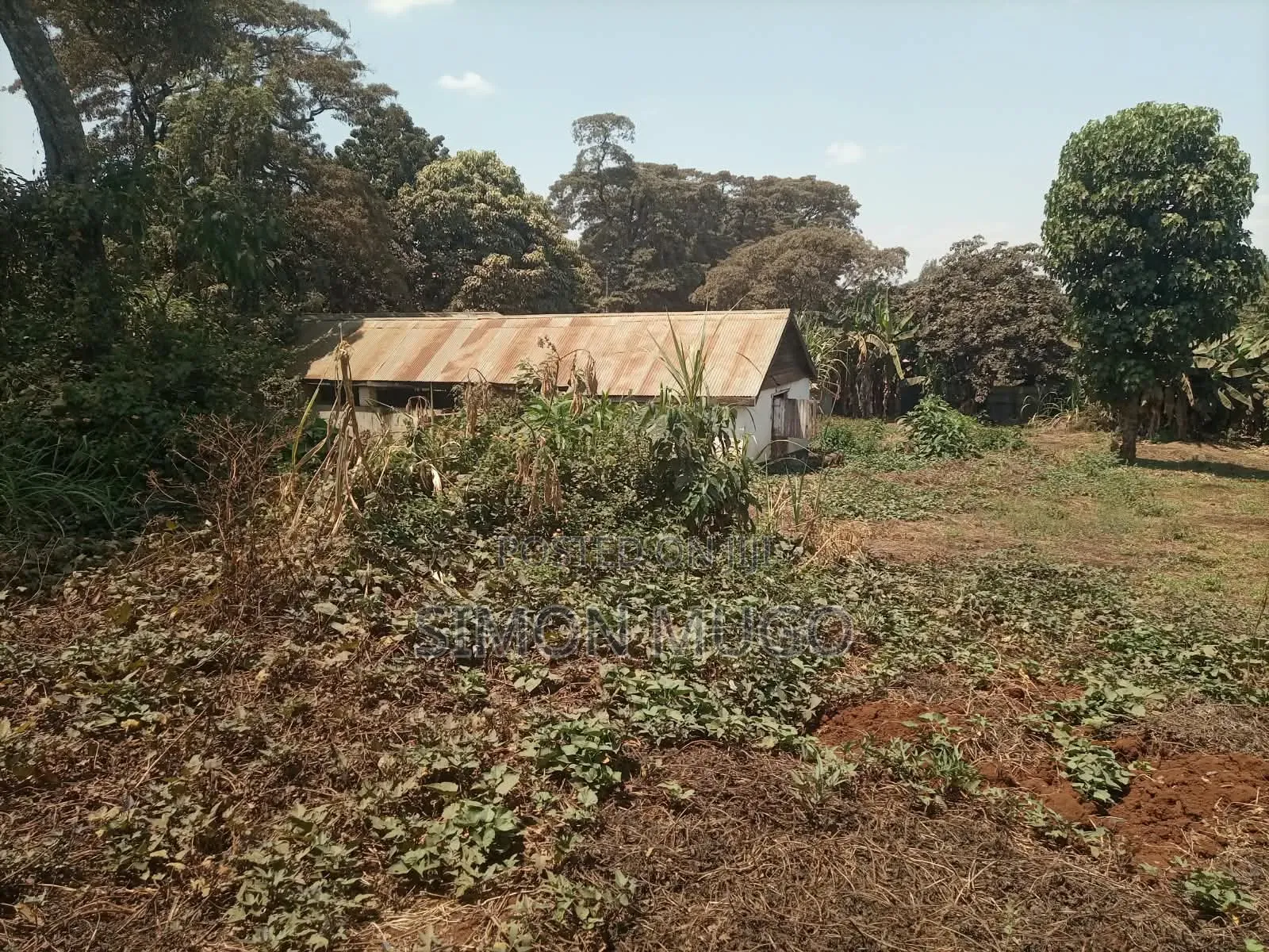 Kiu Kenda Estate Prime 3/4 AC in a Controlled Development Gated Court