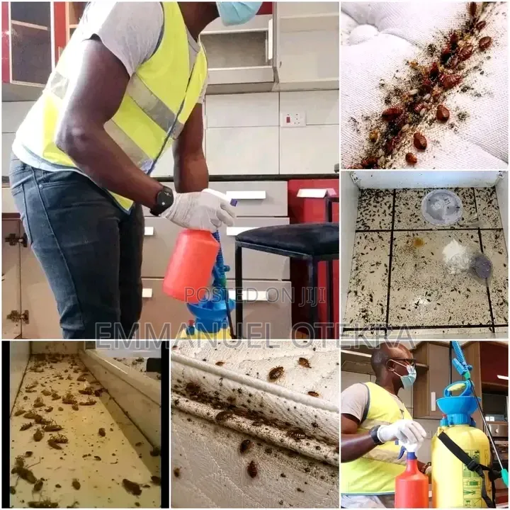 Fumigation of Bedbags