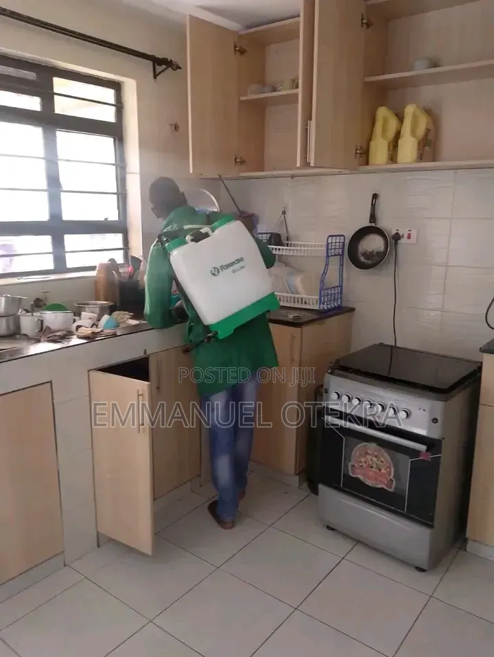 Fumigation of Cockroaches