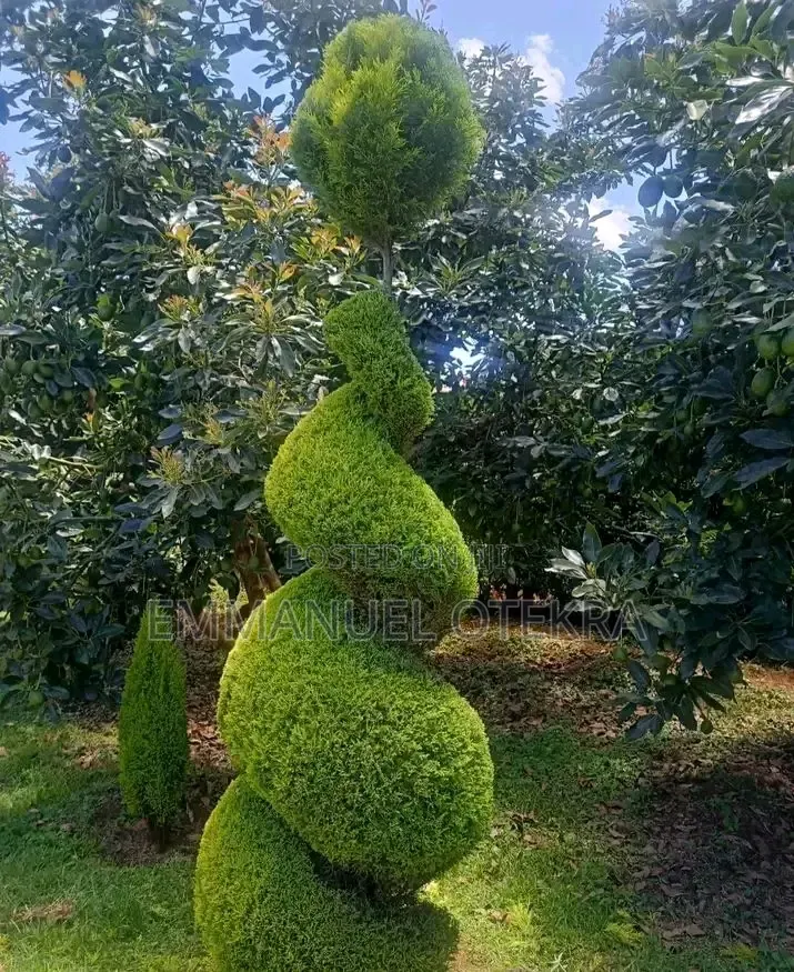Landscaping Services