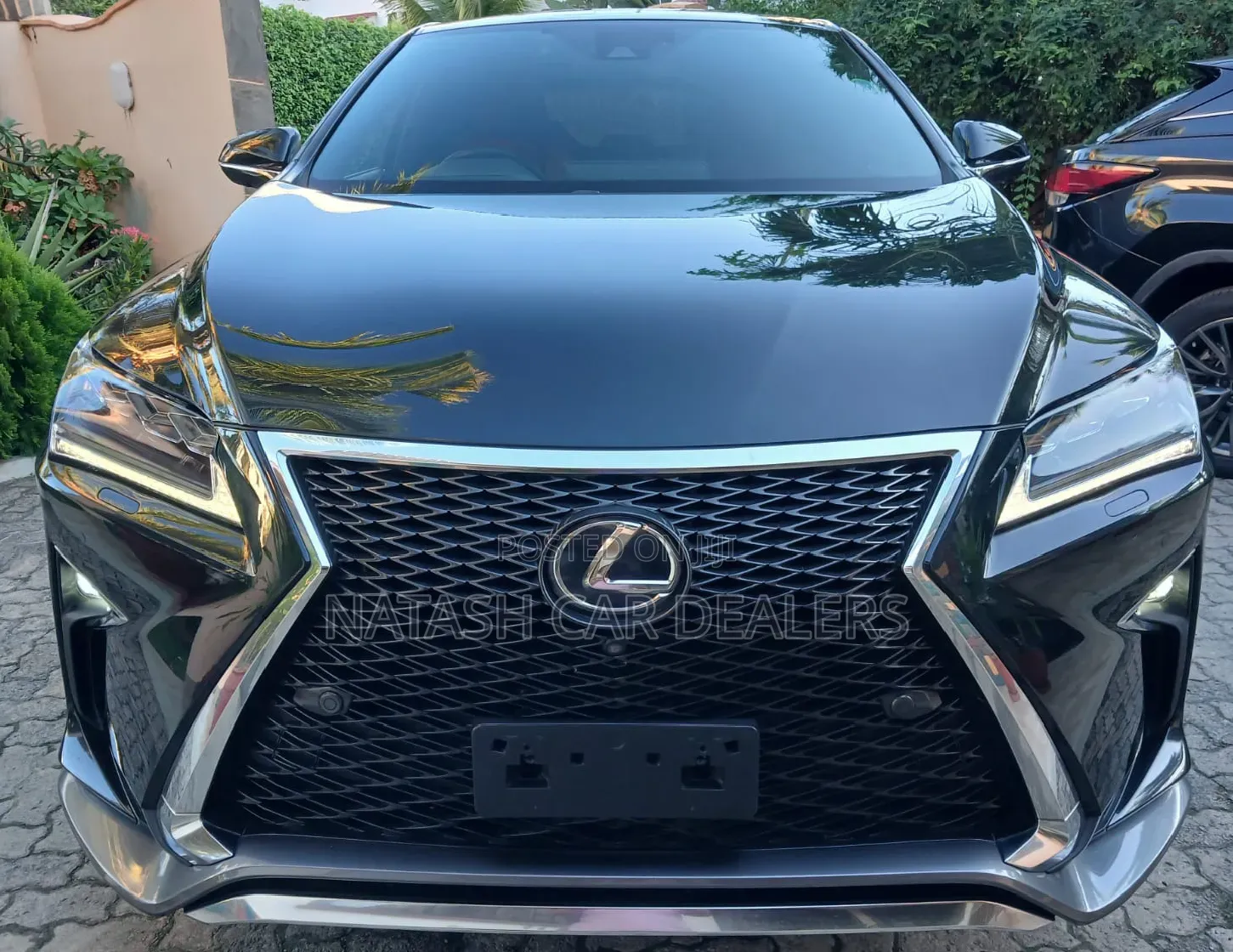 Lexus RX 2019 Black