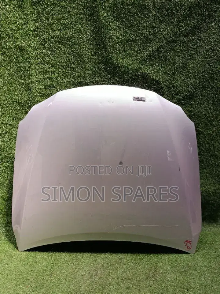 Bonnet Lexus Is Gse20 2005