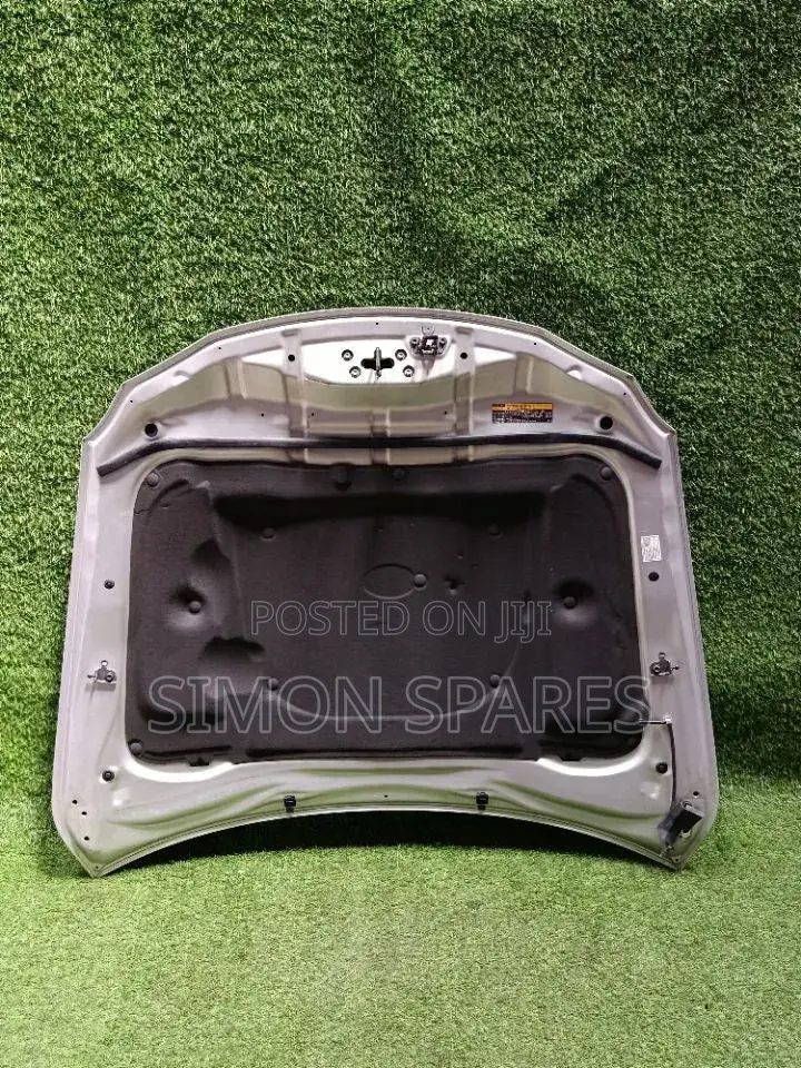 Bonnet Lexus Is Gse20 2005