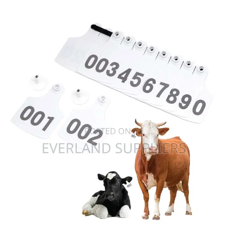 Ear Tags - Herd Identification