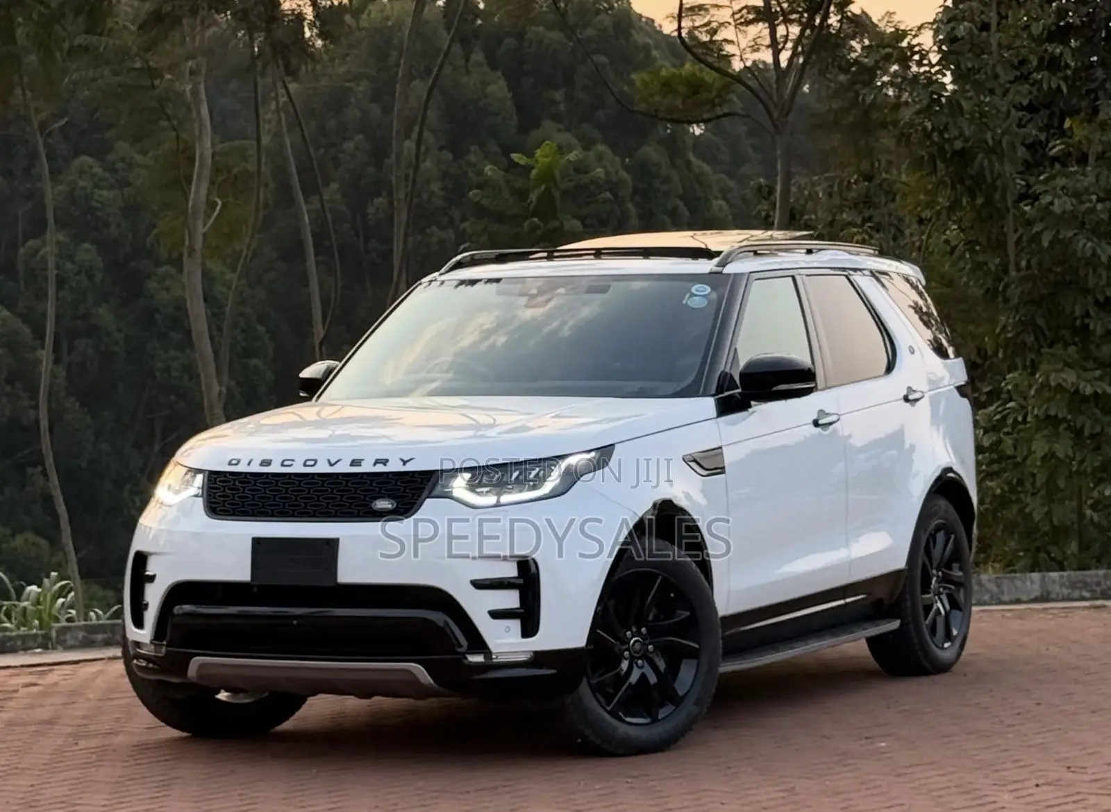 Land Rover Discovery 2019 White