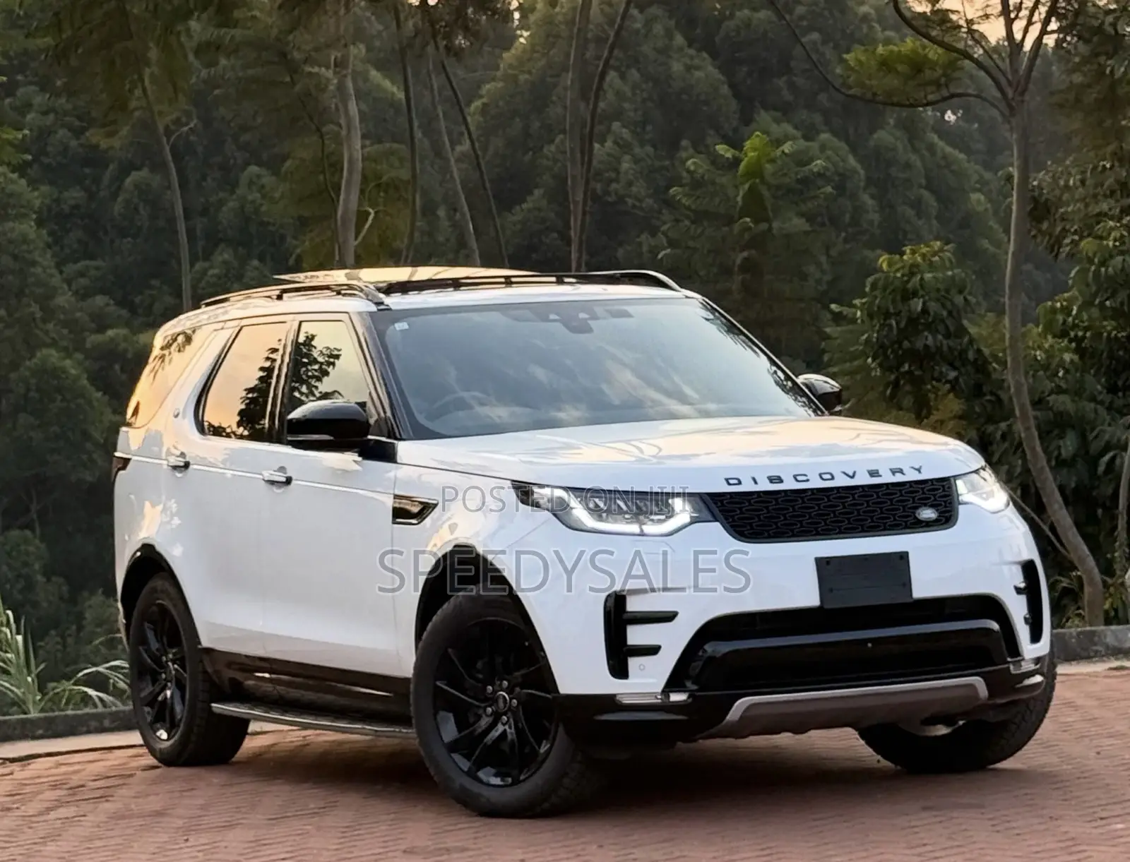 Land Rover Discovery 2019 White