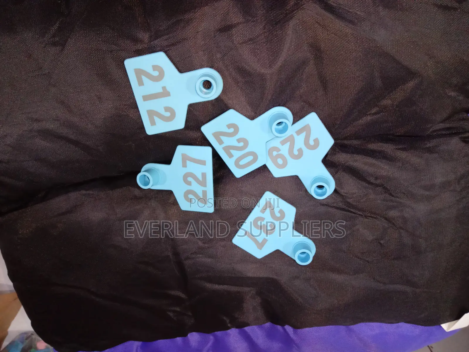 Ear Tags - Bright