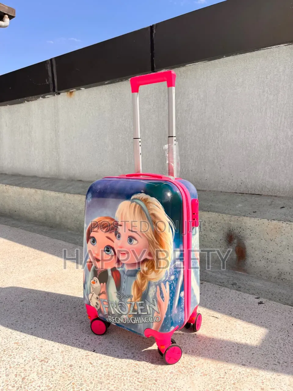Cartoon Themed Suitcase for Kids