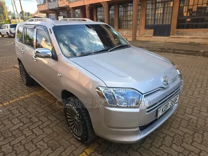 Toyota Probox 1.5 DX 2WD 2019 Silver