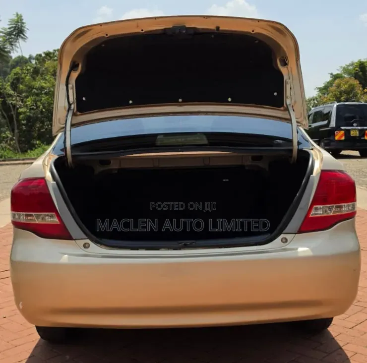 Toyota Axio 2010 Gold