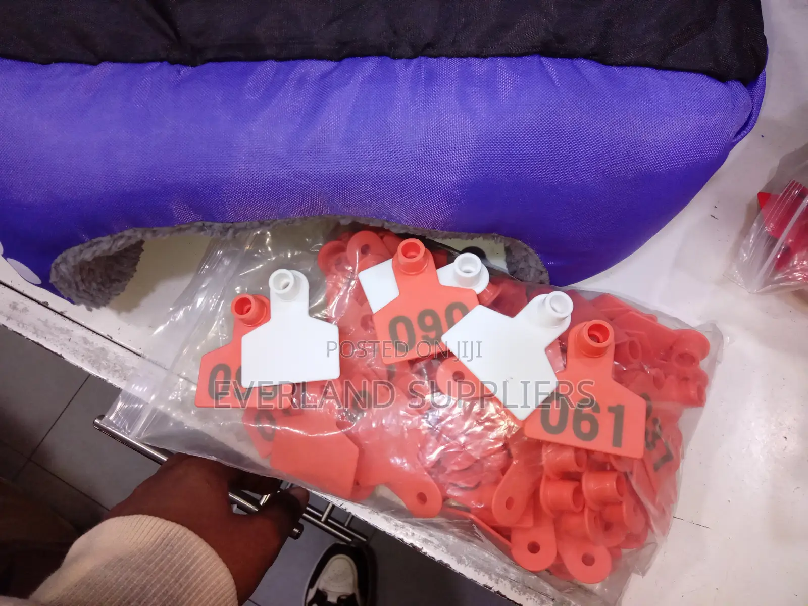 Ear Tags - Identification at a Glance