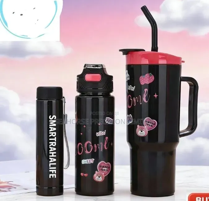 3-in-1 Habei Water Bottle