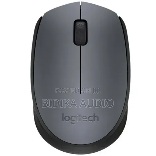 Logtech Wireless Mouse