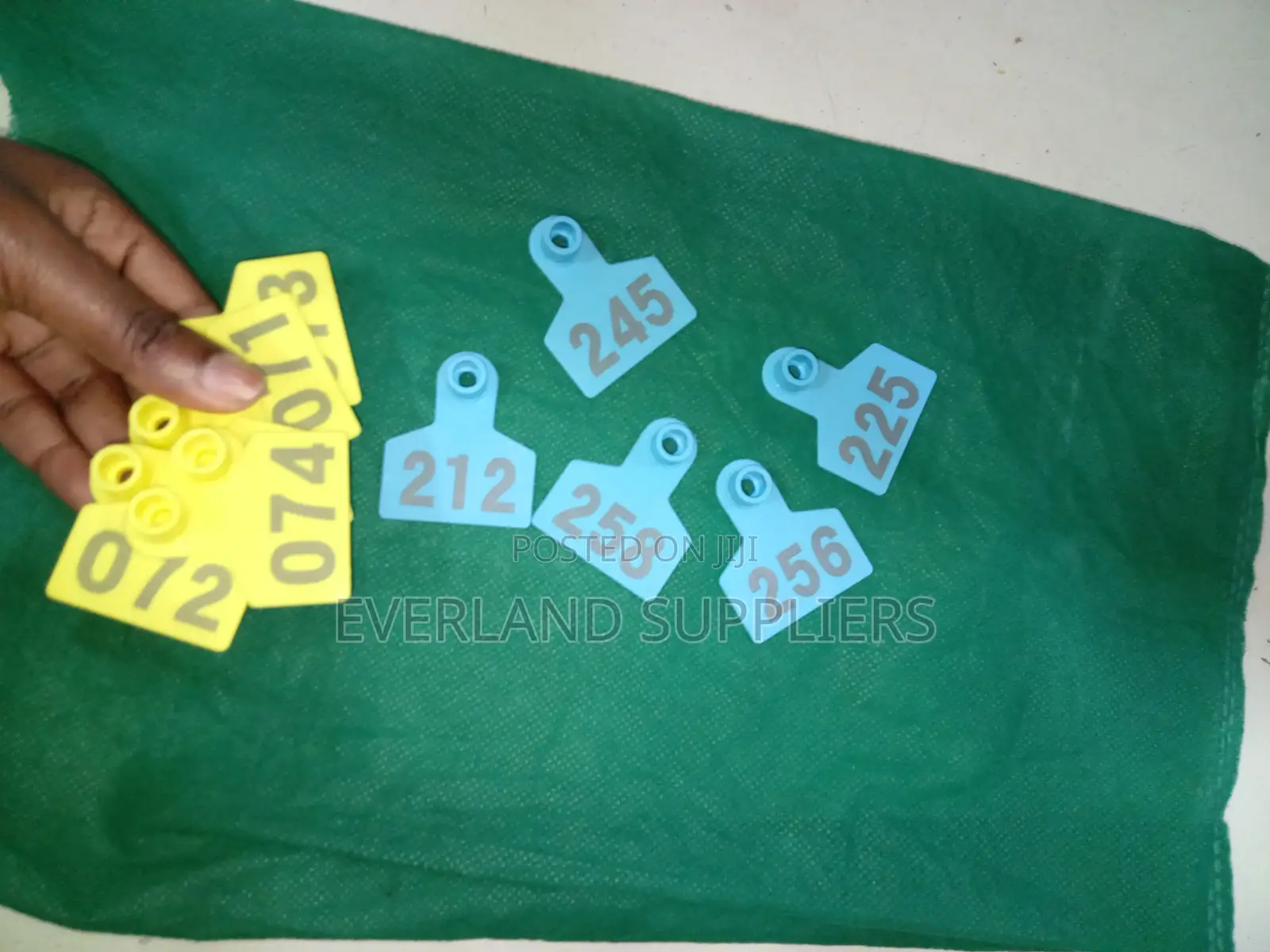 Ear Tags - Easy to Recognize