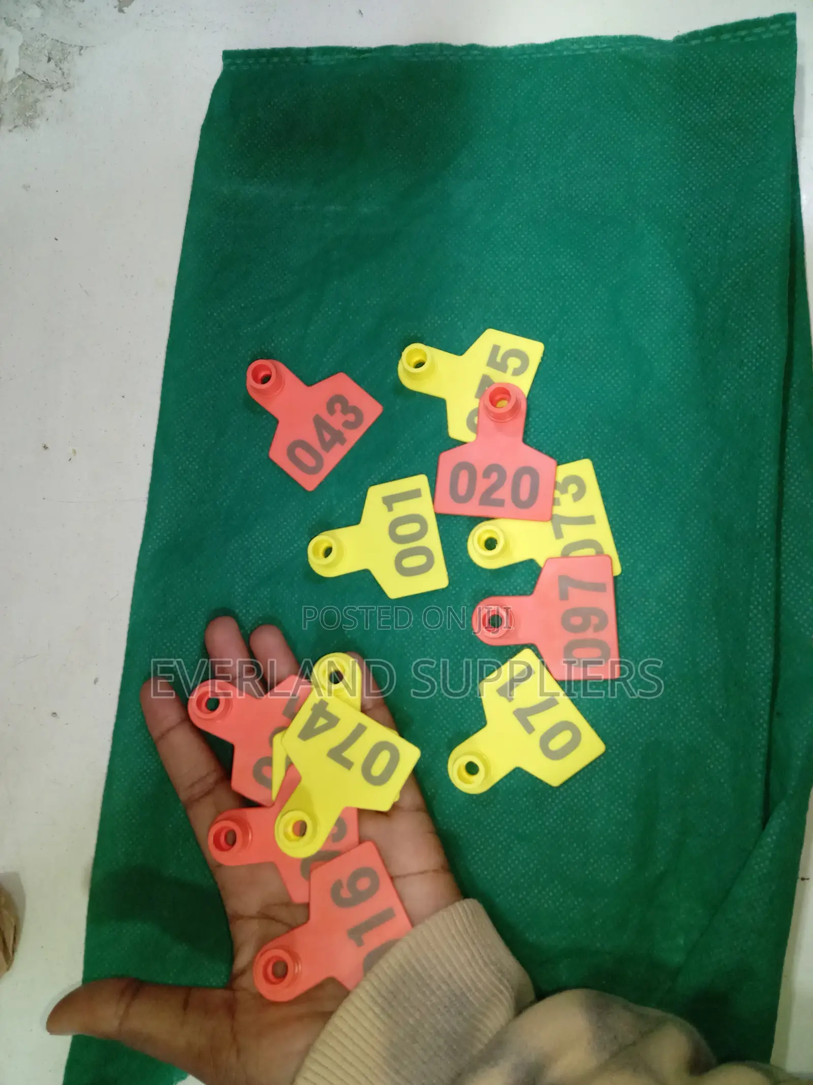Ear Tags - Useful for Routine Checks