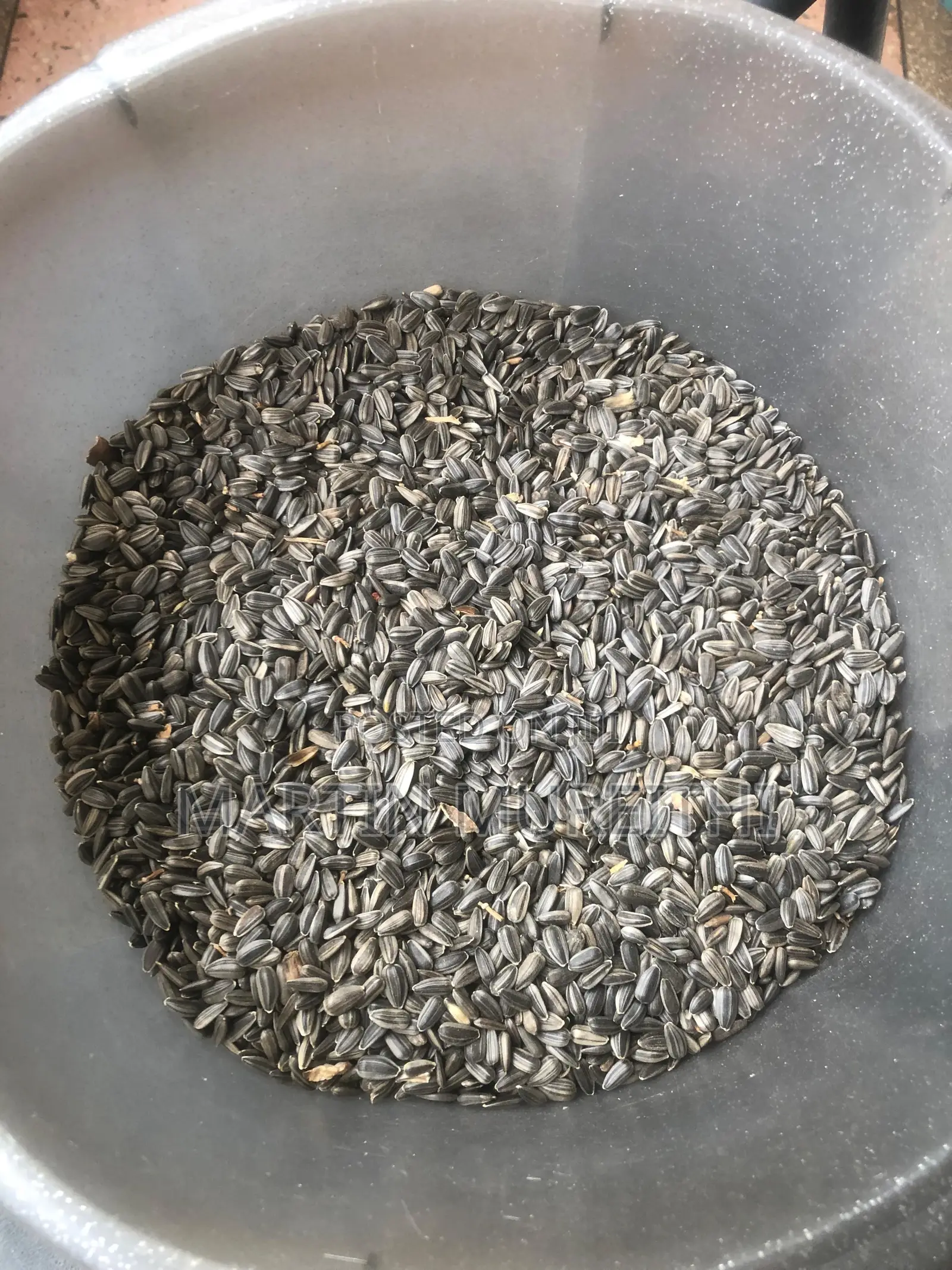 Whole Sunflower Seeds