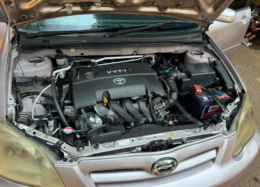 Toyota Corolla RunX 2005 Silver