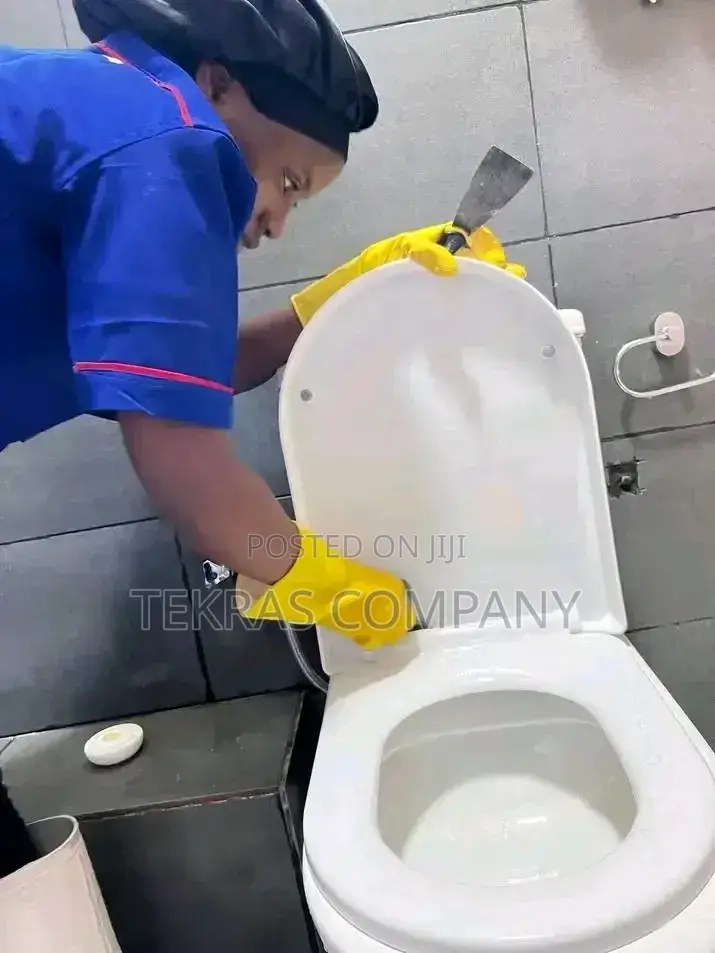 Toilet Cleaning