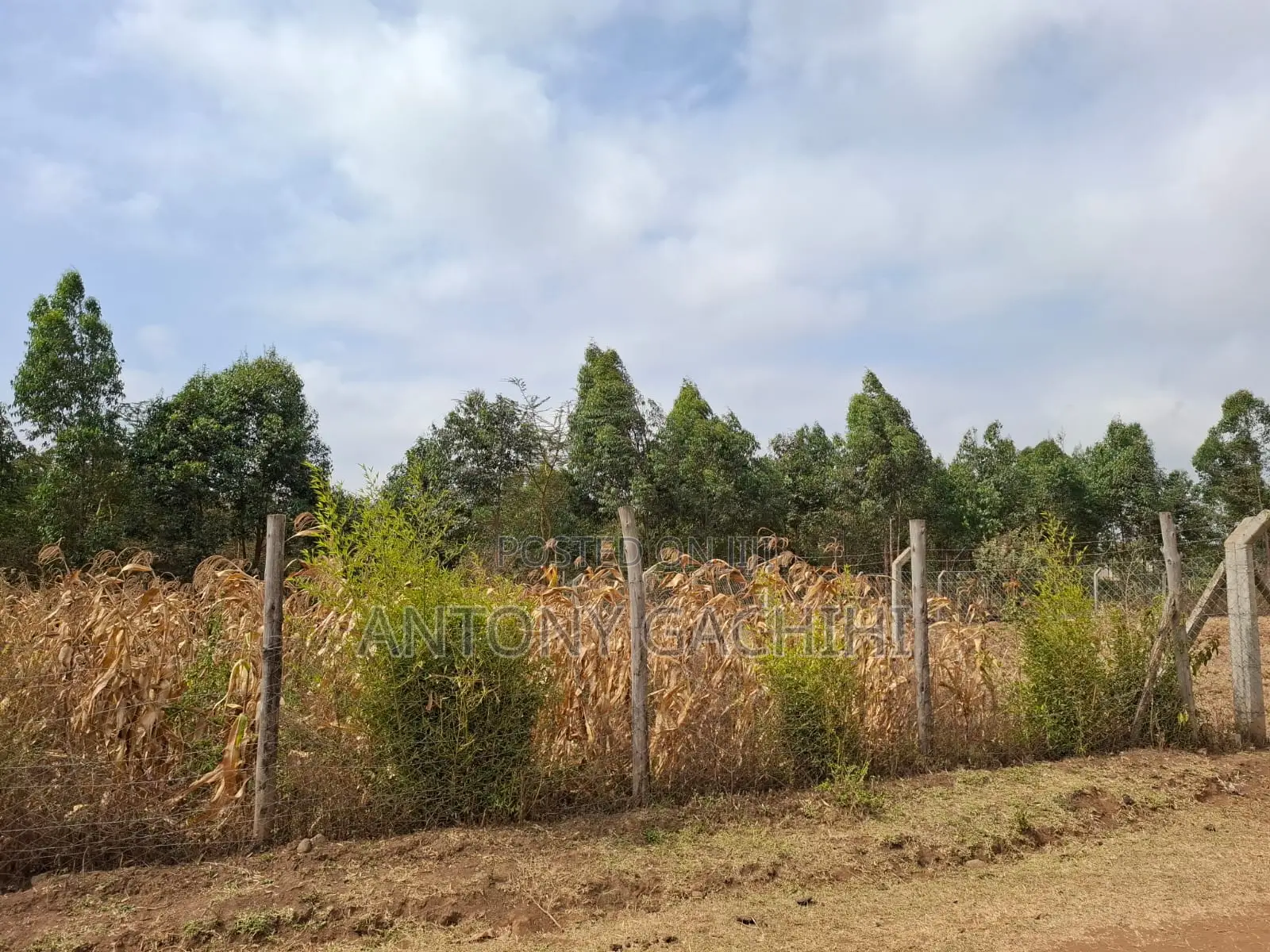 Land for Sale