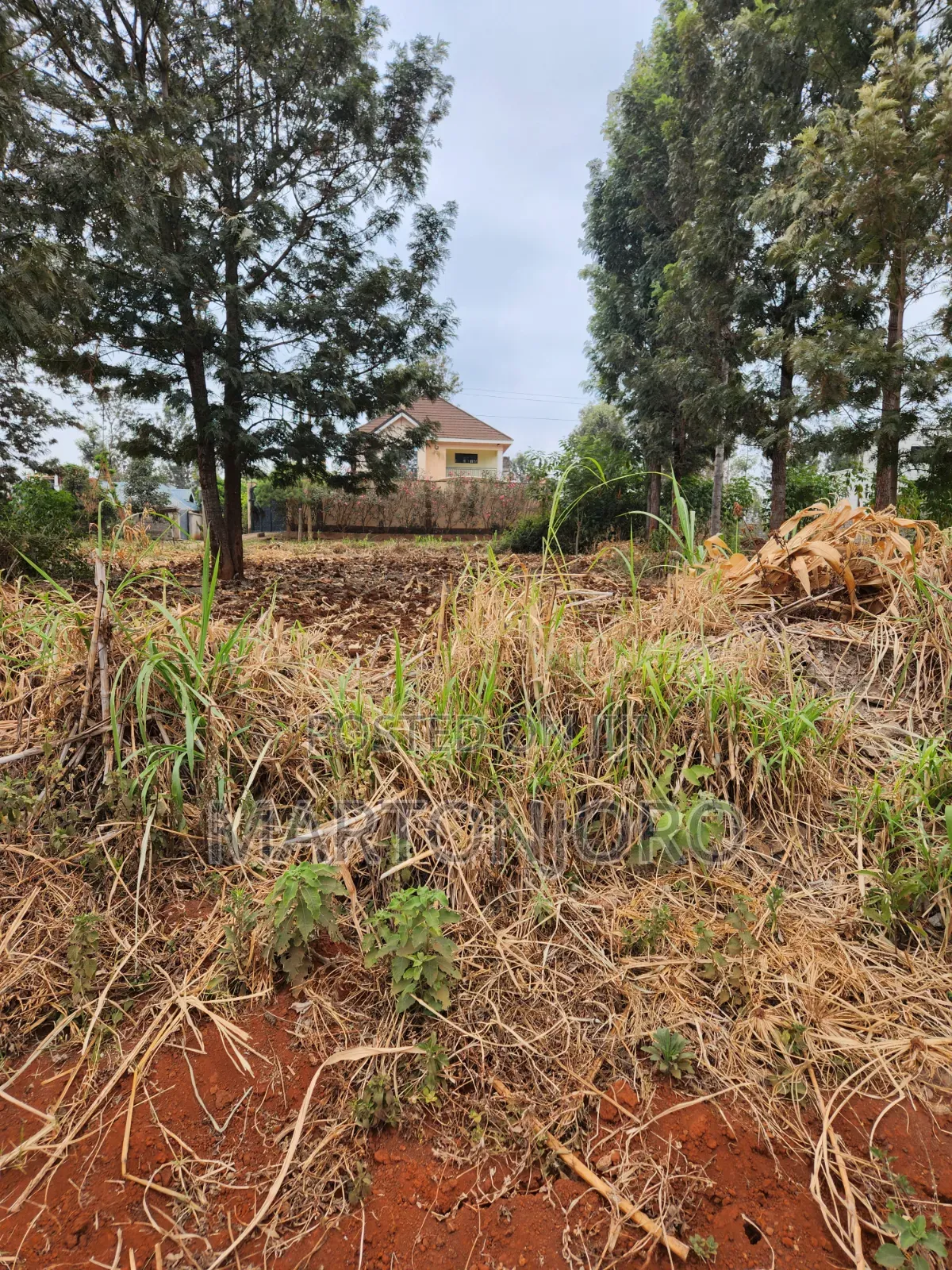 Kenyatta Road 50by 100 Croton Ridge Estate