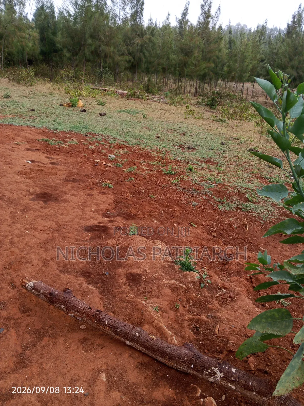 4 Acres Mua Hills Kitanga Selling at 7m Per Acre.