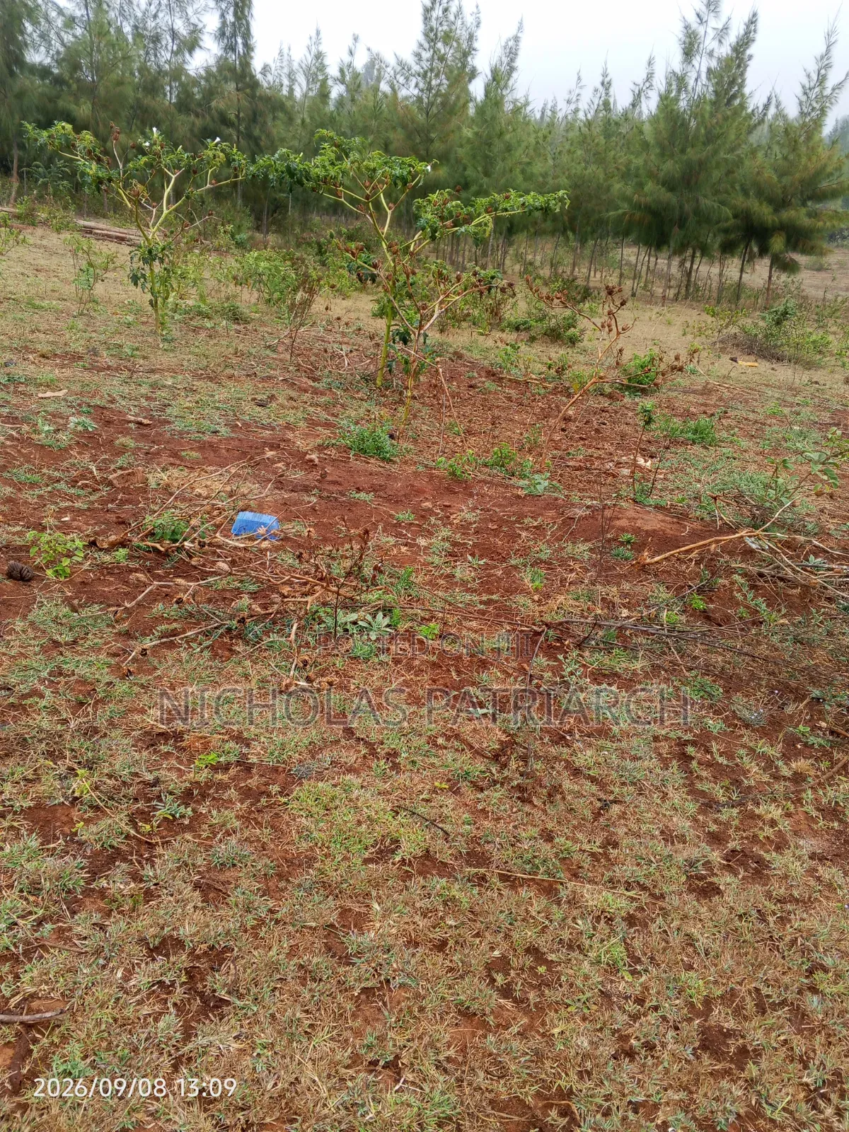 4 Acres Mua Hills Kitanga Selling at 7m Per Acre.