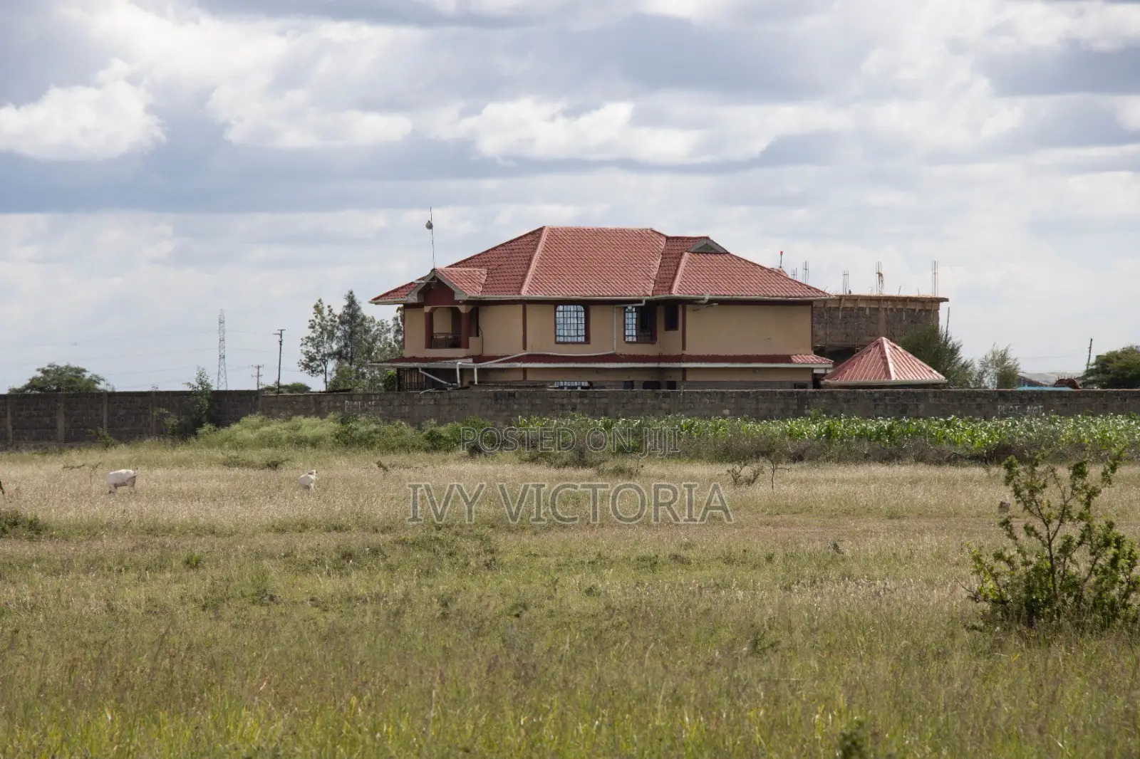 Affordable Plots in Juja Farm