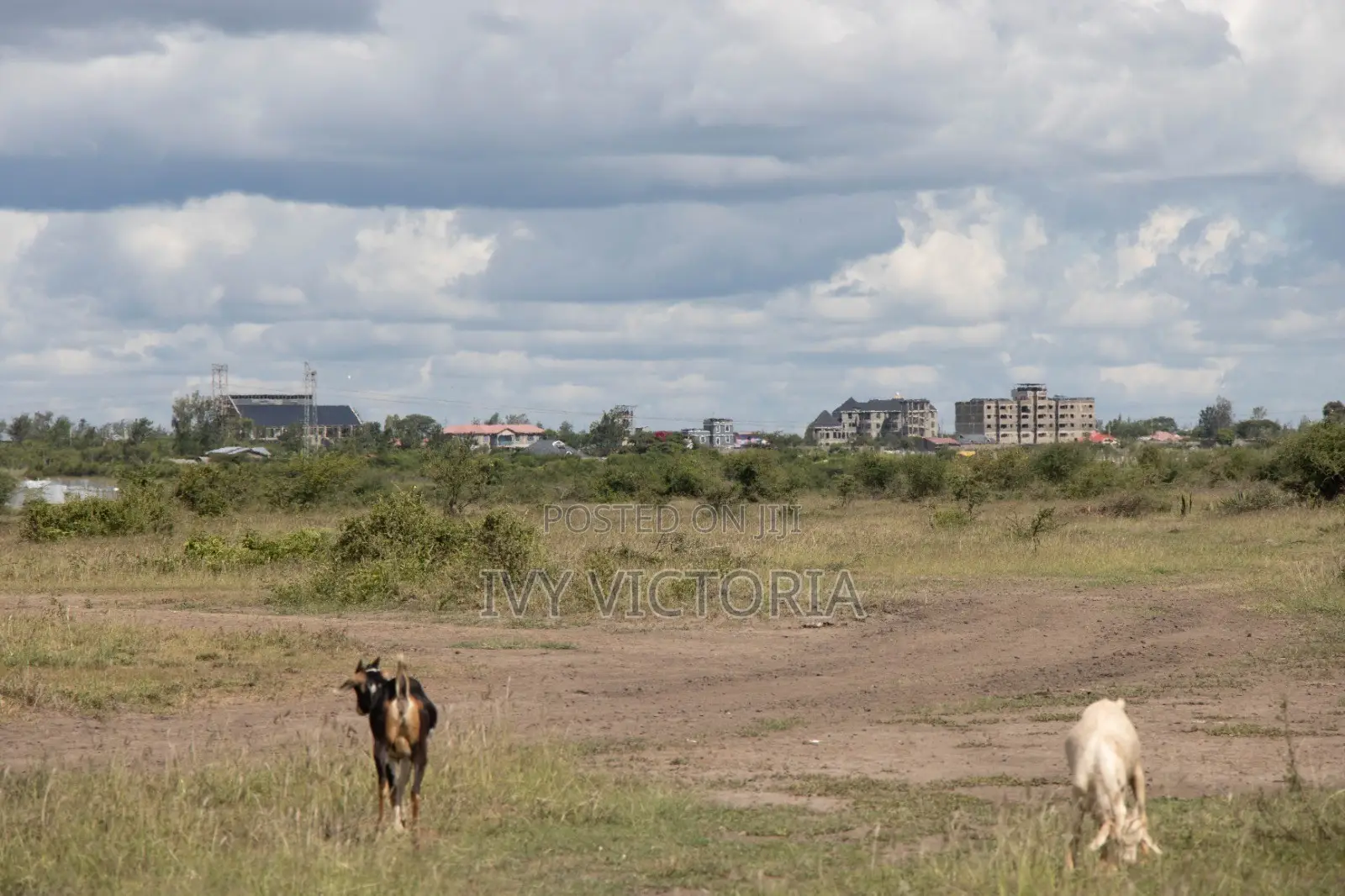 Affordable Plots in Juja Farm