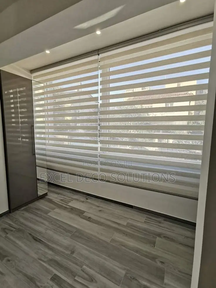 Translucent Zebra Blinds | Sun Filtering Dual Window Roller