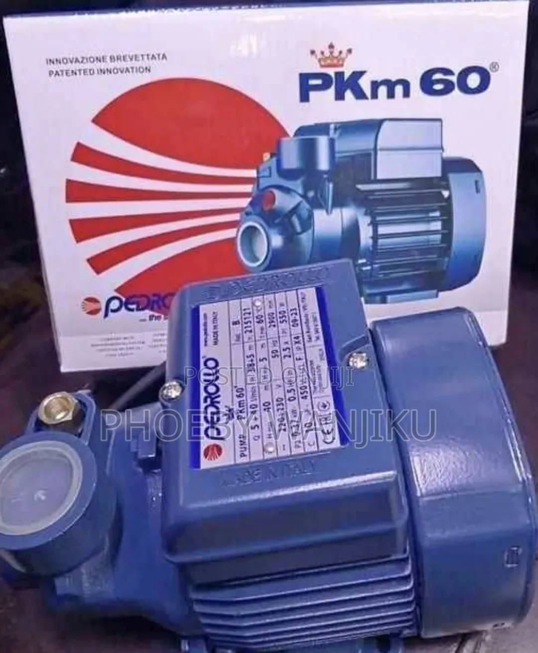Pedrollo Water Pump Booster Pkm60, 230v