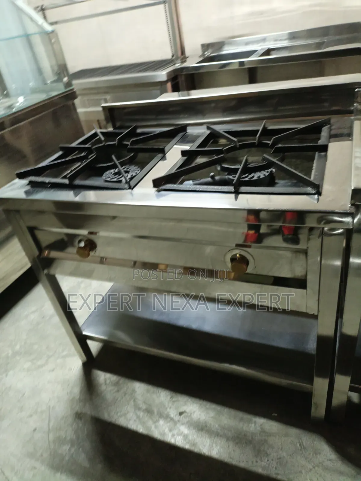 Stainless Steel Two Burner