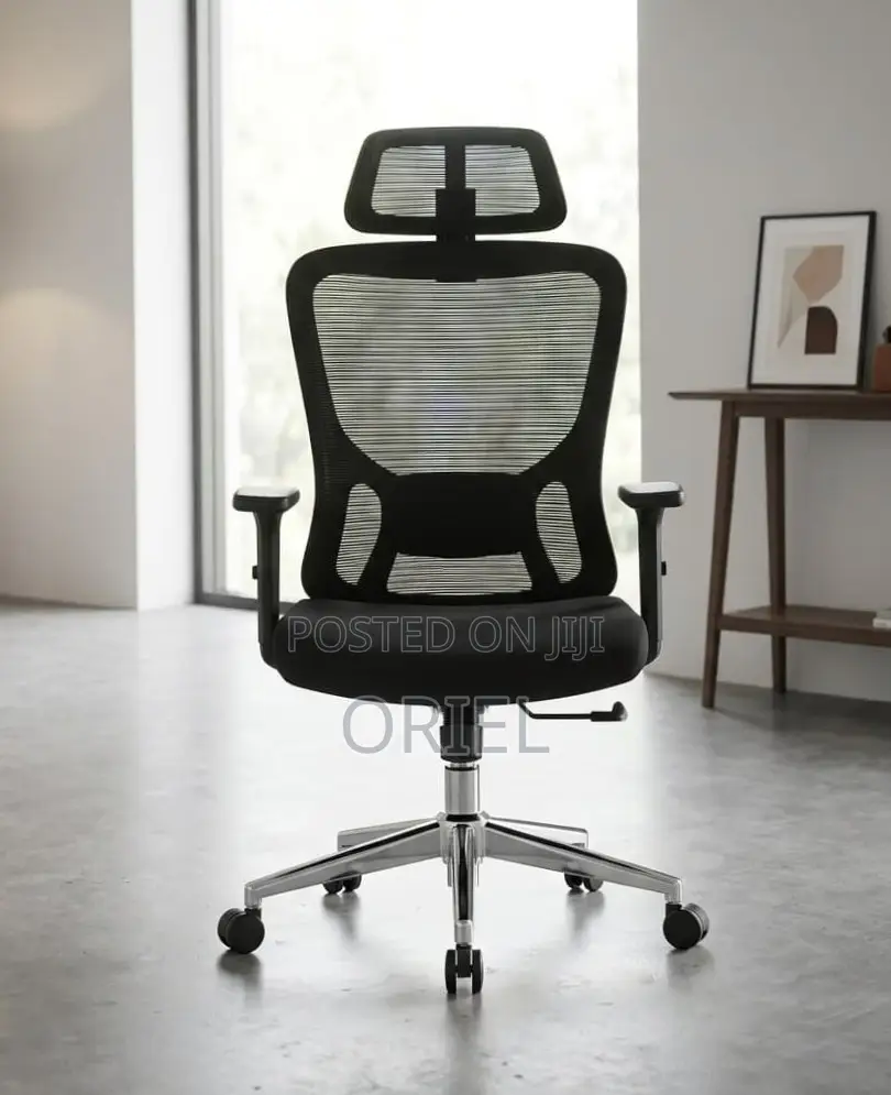 Office Chair : Orthopedic Chair for Staff