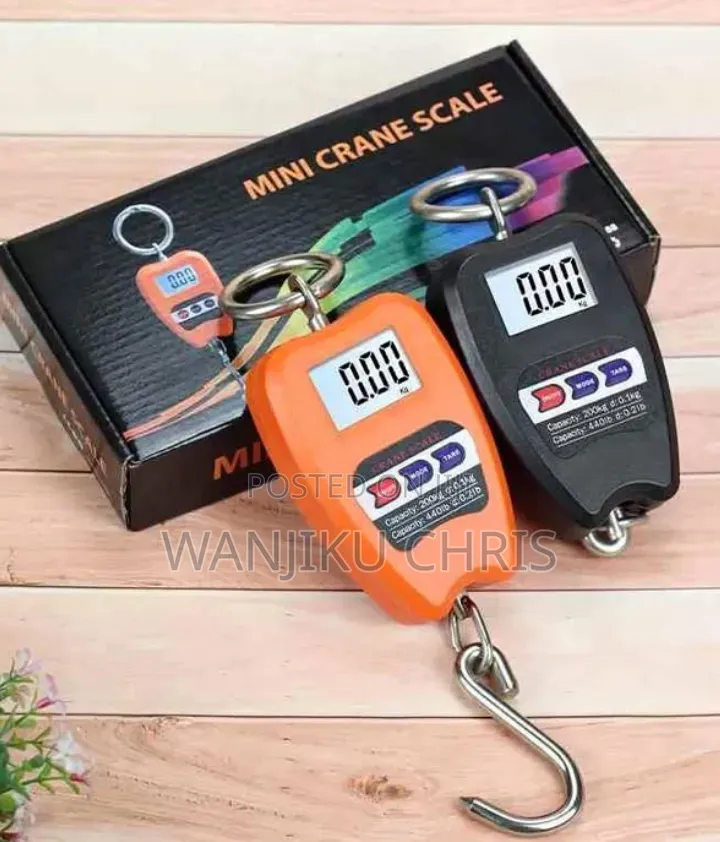Digital Mini Crane Scale