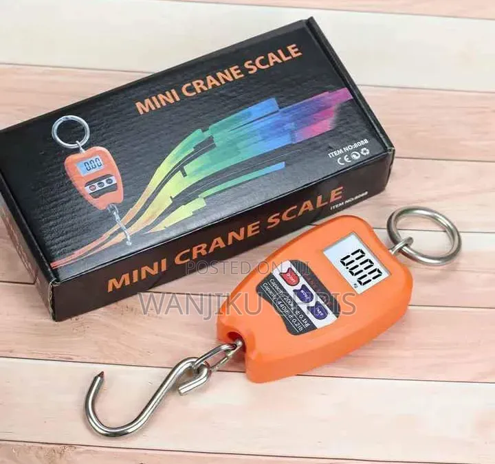 Digital Mini Crane Scale