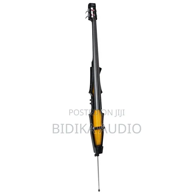 Electric Upright Bass