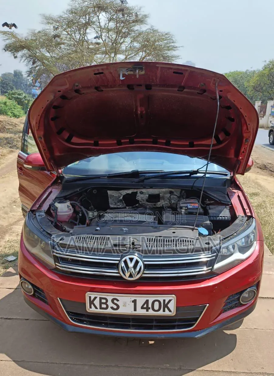 Volkswagen Tiguan 2011 Red
