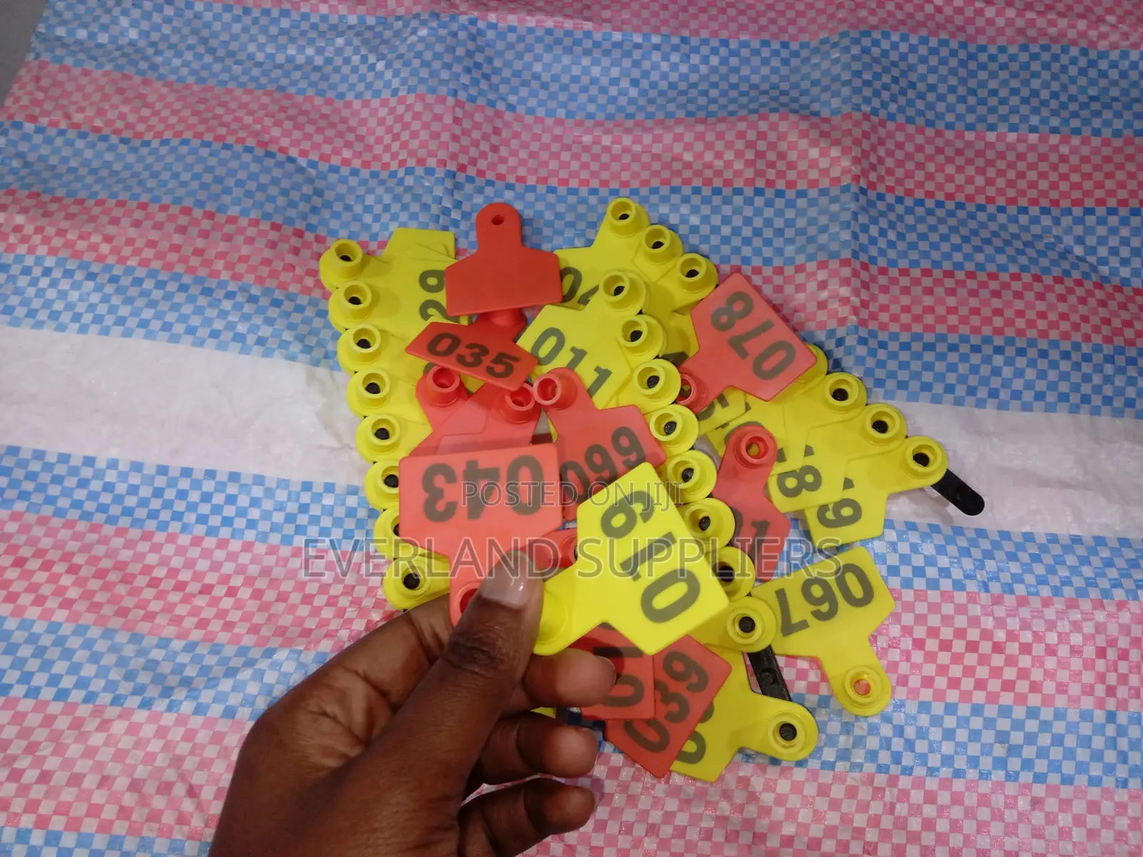 Ear Tags - Herd Tracking Numbered