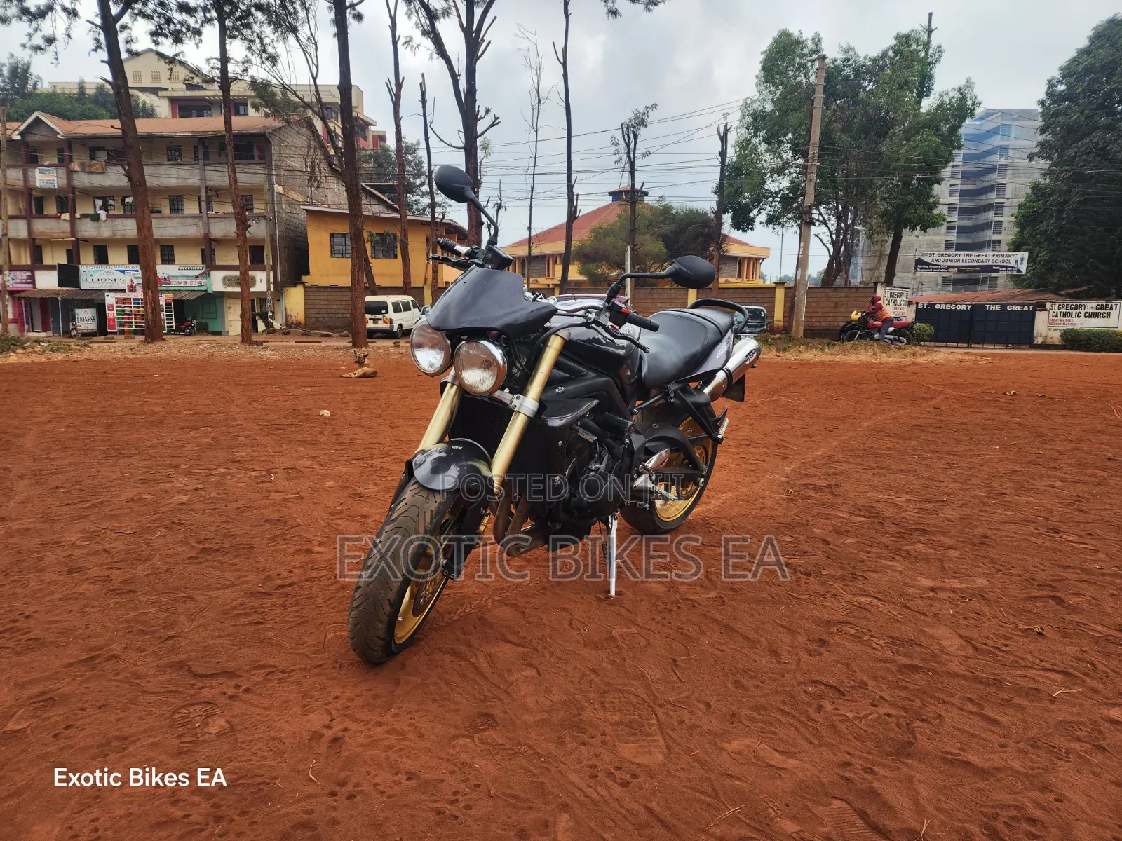 Triumph 2011 Black