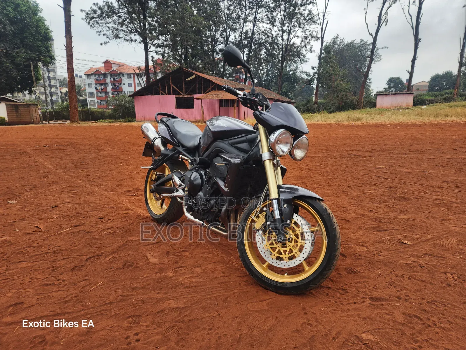 Triumph 2011 Black