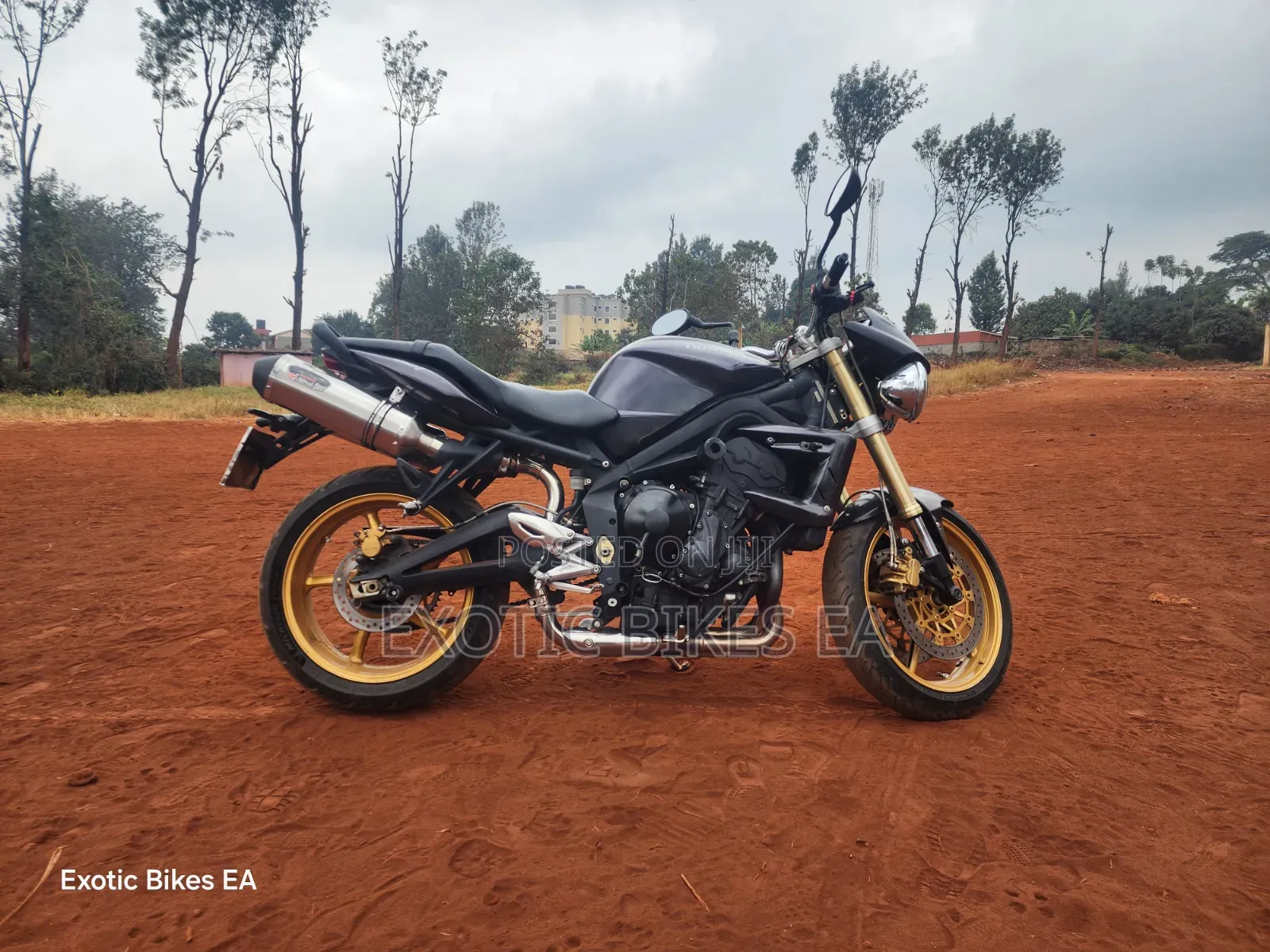 Triumph 2011 Black