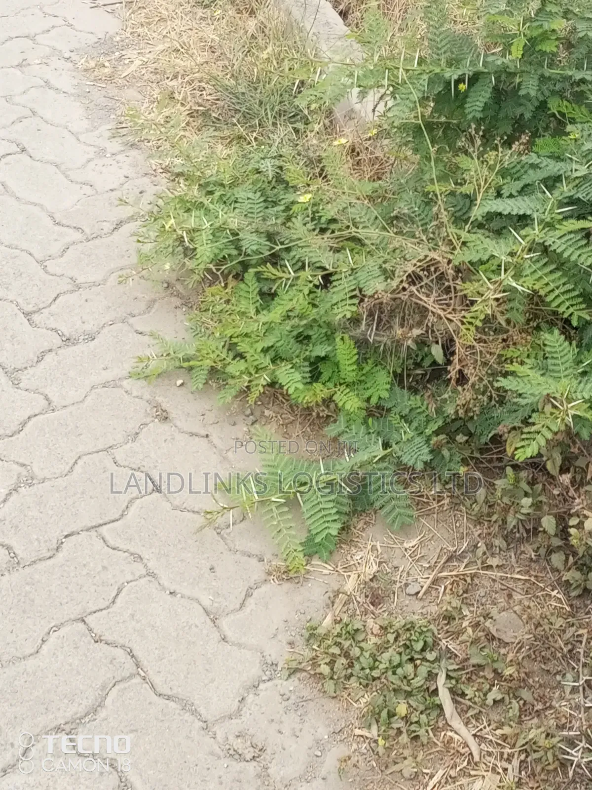 Mua Hills Area Different Parcels of Land 1 , 2, to 5 Acres for Home
