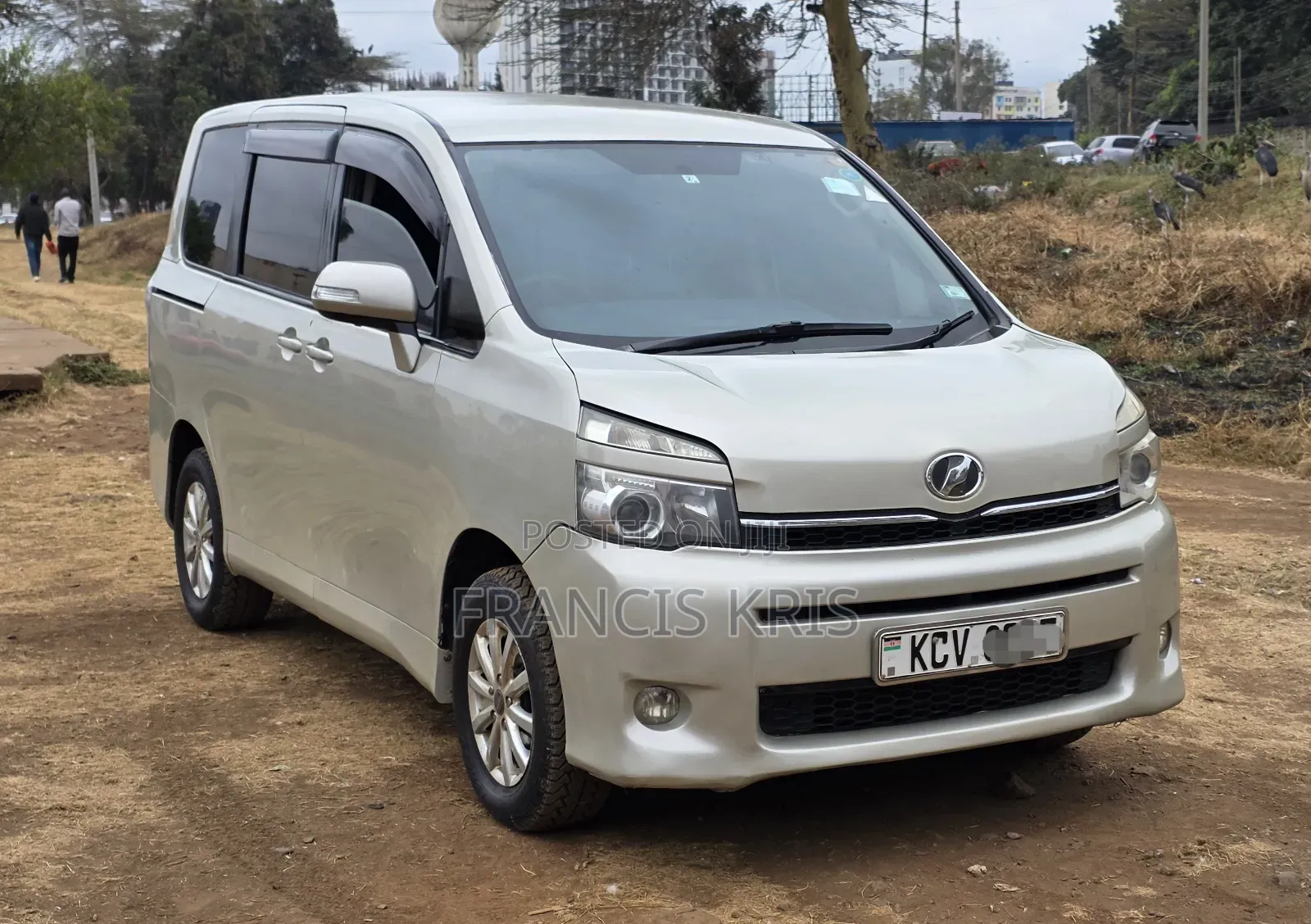 Toyota Voxy 2012 Gold
