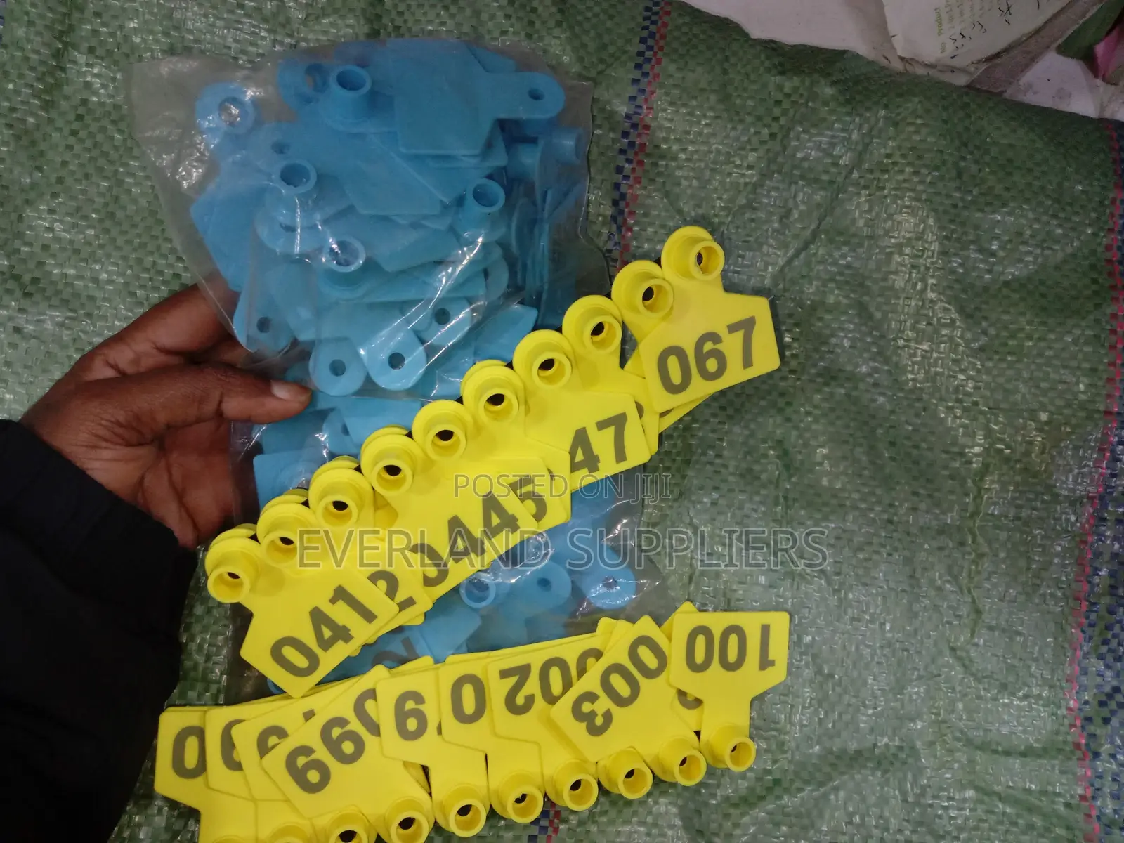 Ear Tags - Designed for Everyday a Set