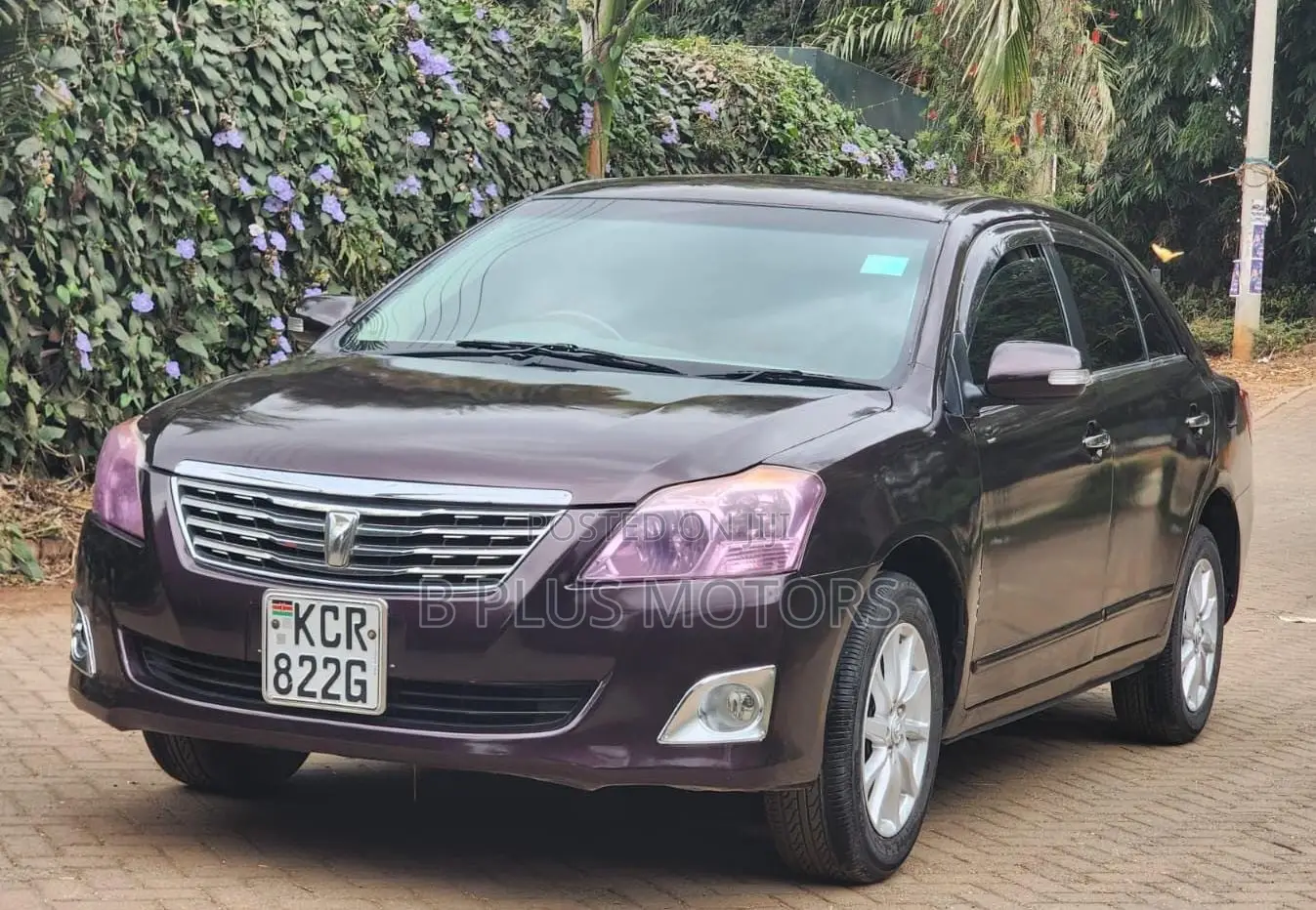 Toyota Premio 2011 Purple