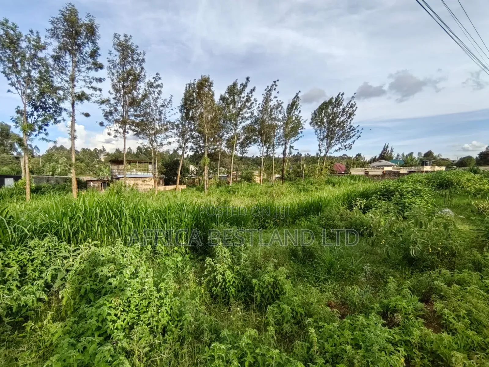 31⁄8 Acres for Sale – Kikuyu Gikambura Prime Land Touching 15M