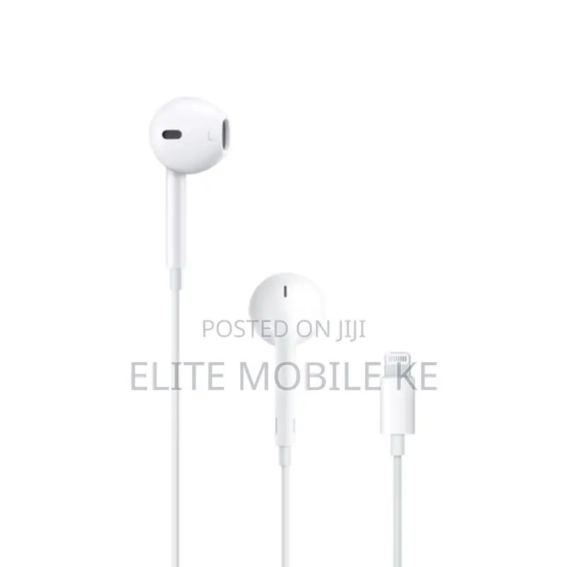 EarPods Lightning Connector