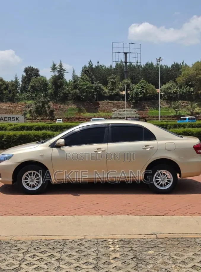 Toyota Axio 2010 Gold