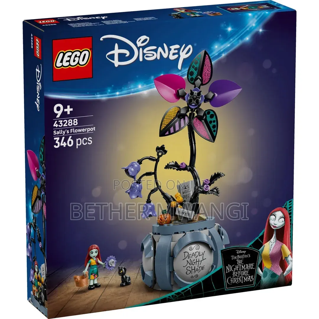 Lego Disney Sally's Flower Pot in Kenya